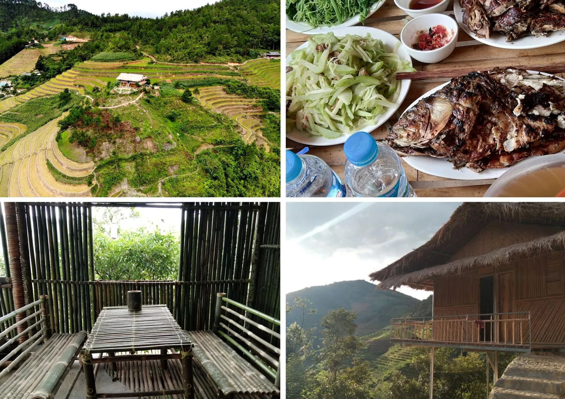 Top 15 homestay Mù Cang Chải view ruộng bậc thang nhất định phải ghé