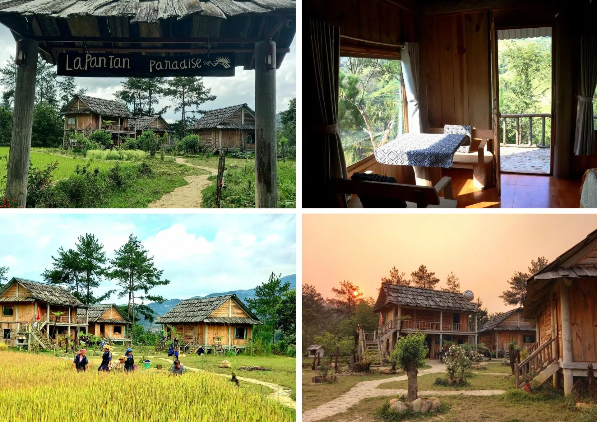 Top 15 homestay Mù Cang Chải view ruộng bậc thang nhất định phải ghé