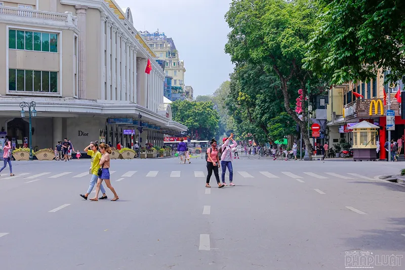 Top 15 quán cà phê mèo vô cùng thú vị tại Hà Nội