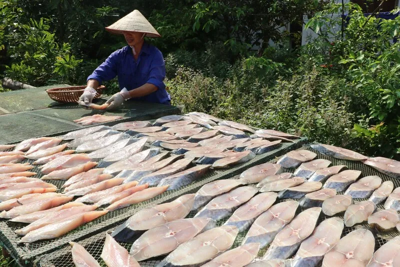 Top 20 đặc sản Hải Phòng bạn nên thử khi tới du lịch