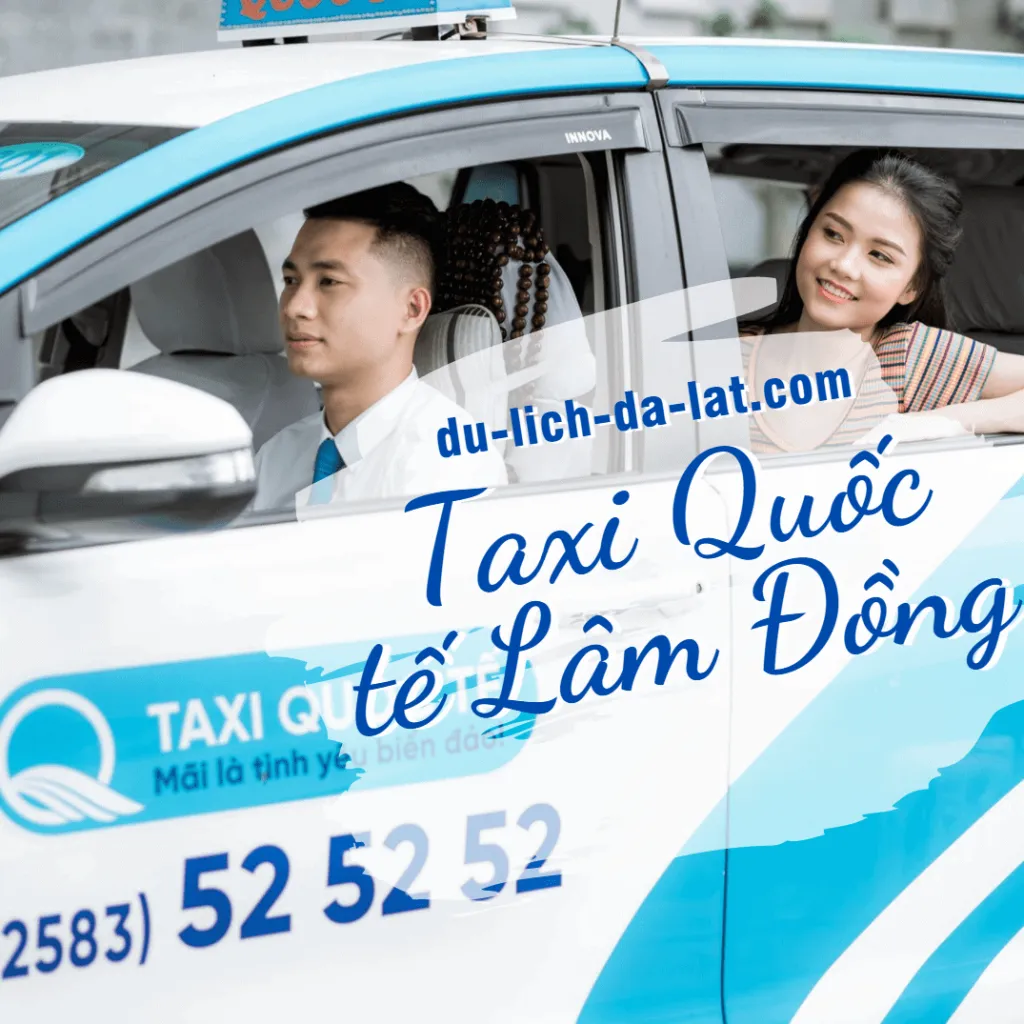 Top 20 hãng taxi Đà Lạt uy tín và chất lượng nhất