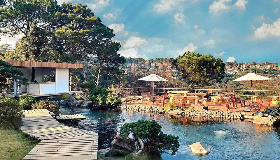 Top 20 quán cafe Đà Lạt đẹp view thiên nhiên tha hồ “sống ảo”