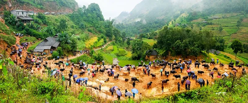 Top 31 cảnh đẹp Sapa không thể bỏ lỡ khi đến với thành phố mù sương