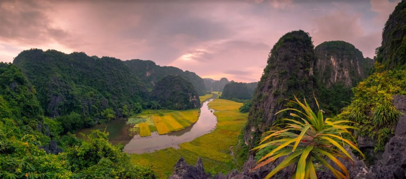 Top 8 thương hiệu cơm cháy Ninh Bình ngon nên mua làm quà