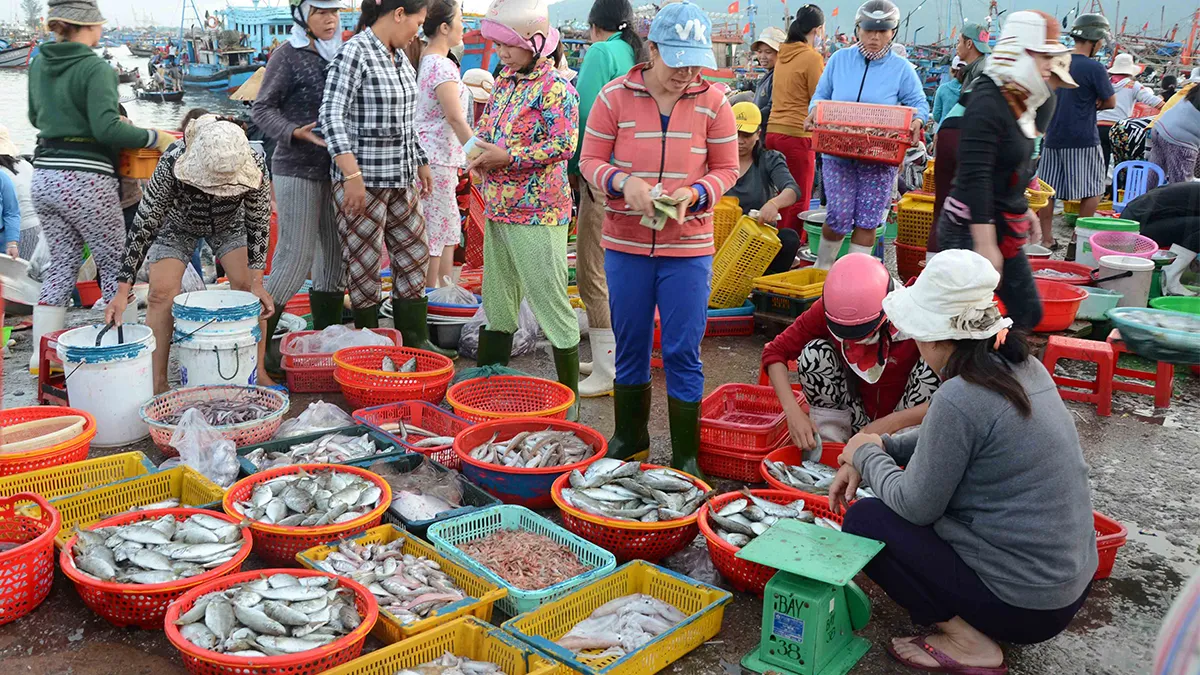 Top những quán hải sản Phan Thiết tươi ngon nổi tiếng