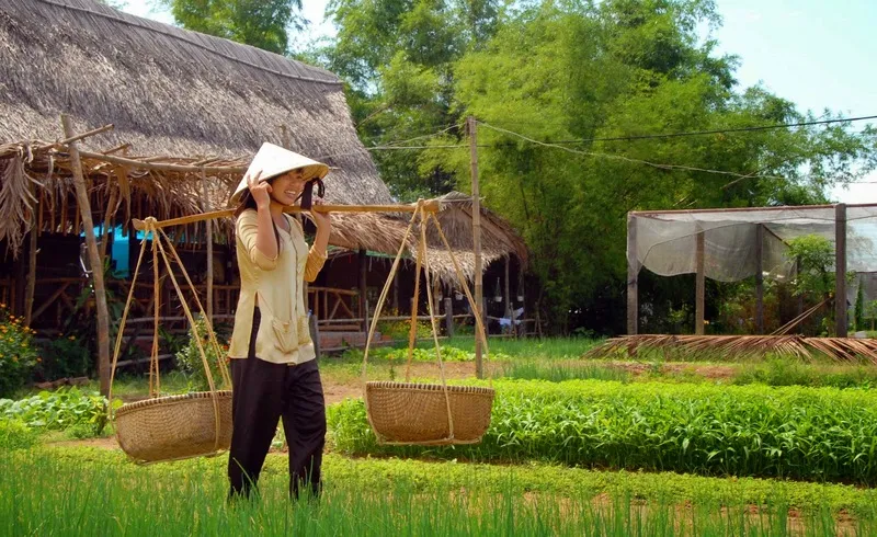 Trải Nghiệm Làm Người Nông Dân Tại Làng Rau Trà Quế Hội An