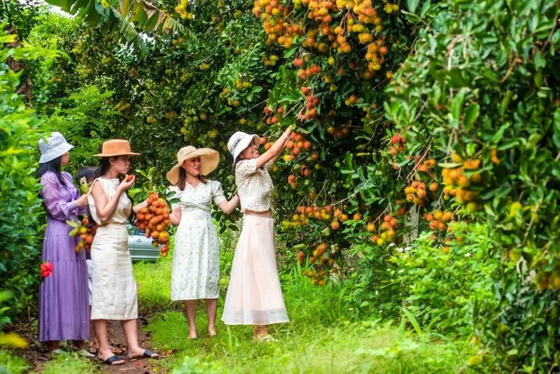 Văn Miếu Trấn Biên – Di tích lịch sử văn hóa nổi tiếng Đồng Nai