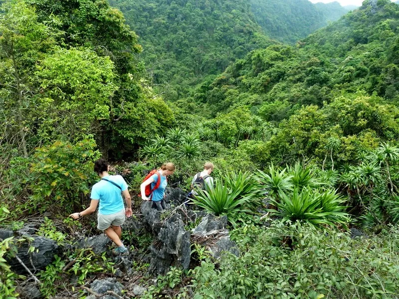 Vườn quốc gia Cát Bà – Hệ sinh thái xanh nơi thành phố biển